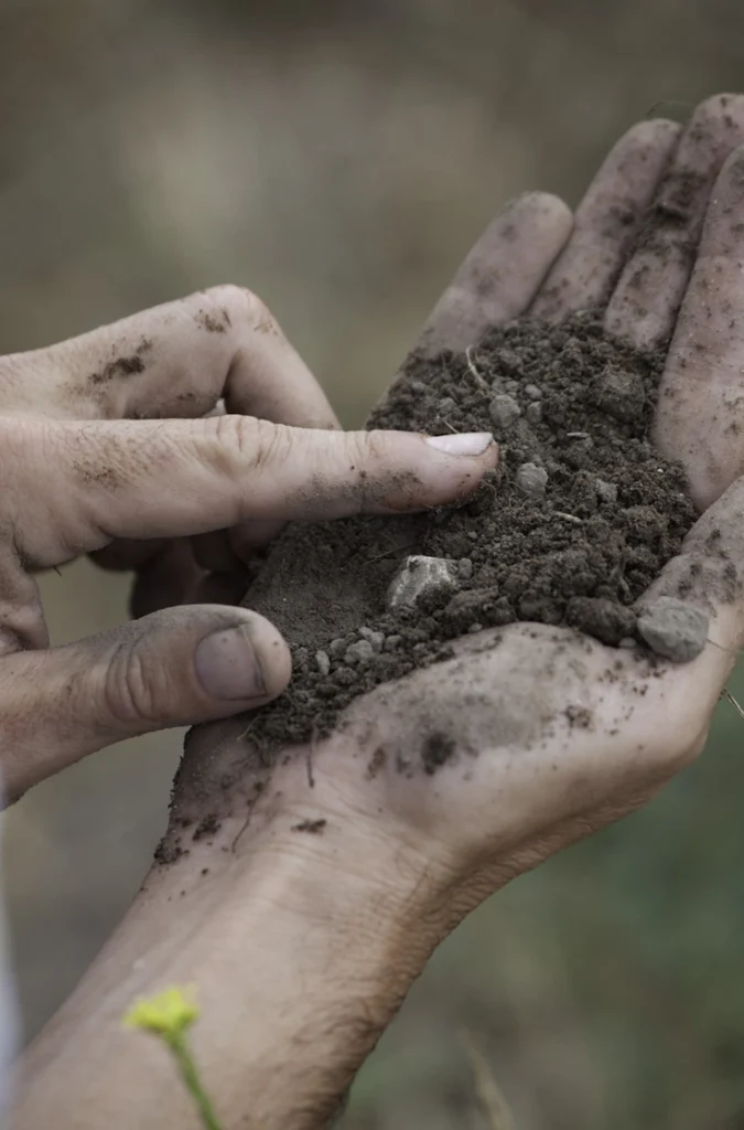 Close up of Wes' hands as he examines vineyard soil.