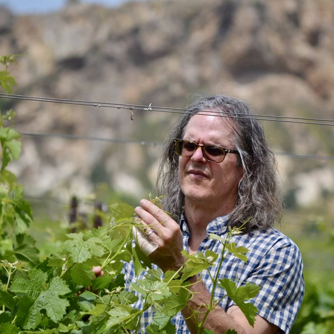Wes inspects the vines and the tendrils and growing tips in a plaid shirt.