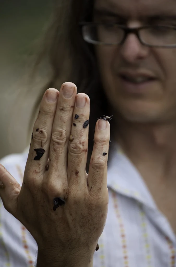 Wes looks at his hand covered in grape skins and purple juice.