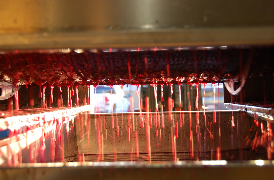 Early morning sunlight shines through pinot noir wine dripping out of the press.